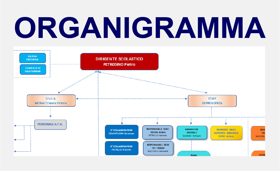 Organigramma